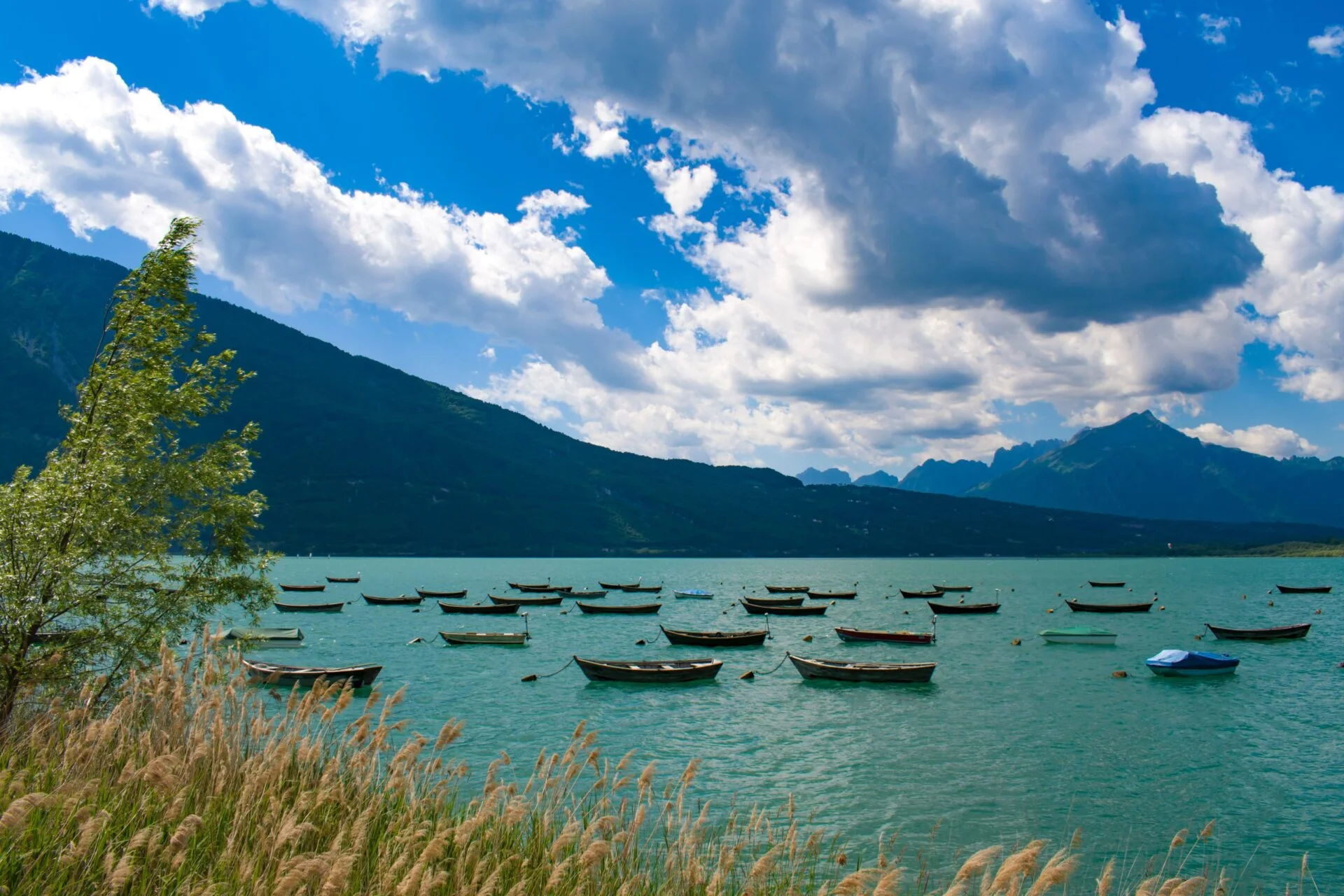 lago santa croce